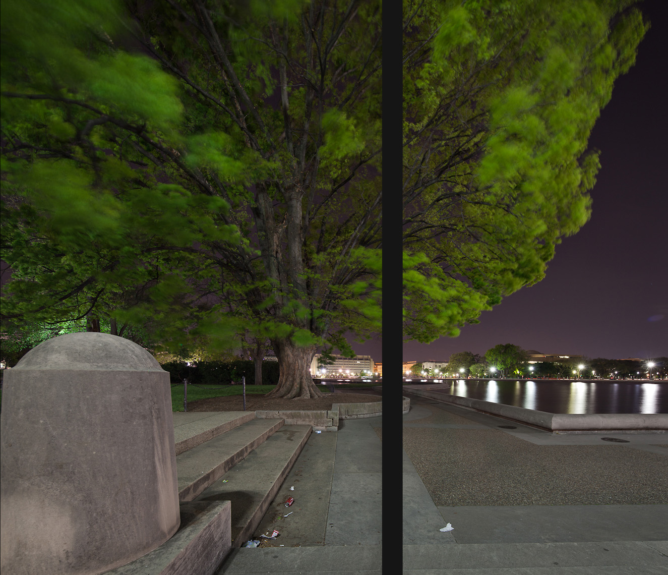 CityofTrees_AmericanElmCherryBlossomFestivalWashingtonDCCapitalHill_06