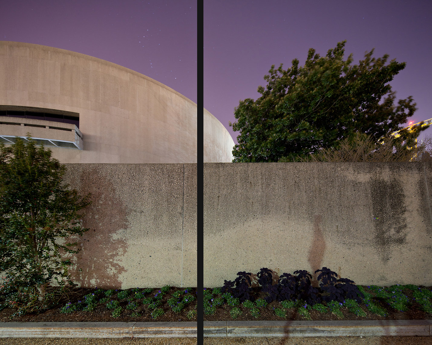 CityofTrees_HirshhornMuseumTheTrustfortheNationalMallWashingtonDC_01